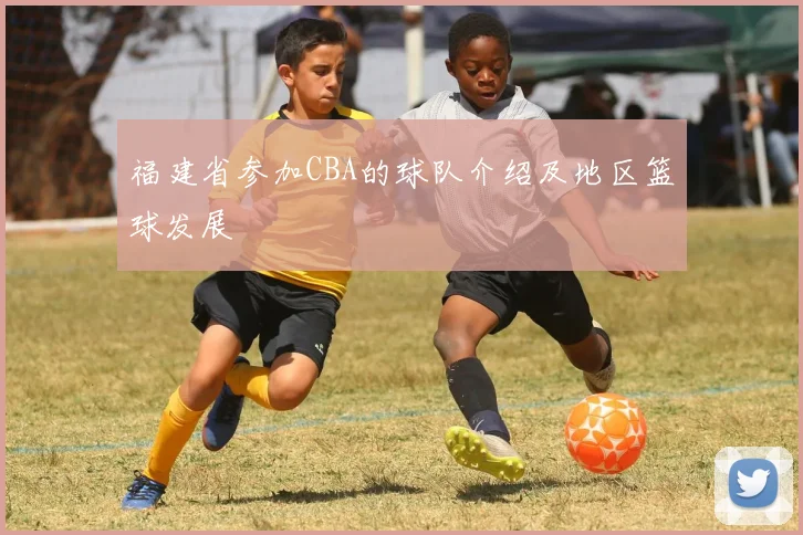 福建省参加CBA的球队介绍及地区篮球发展